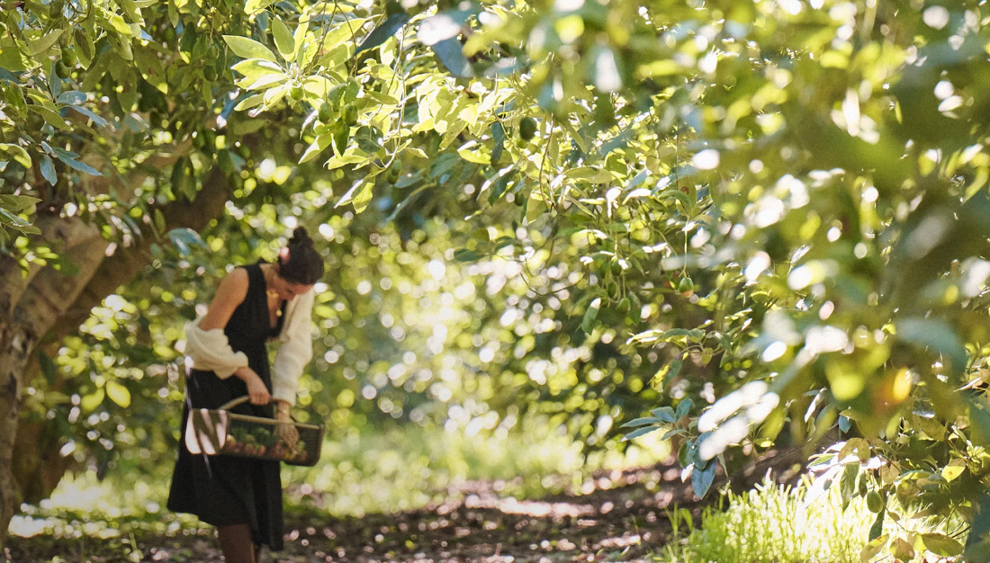 фото с сайта As Ever