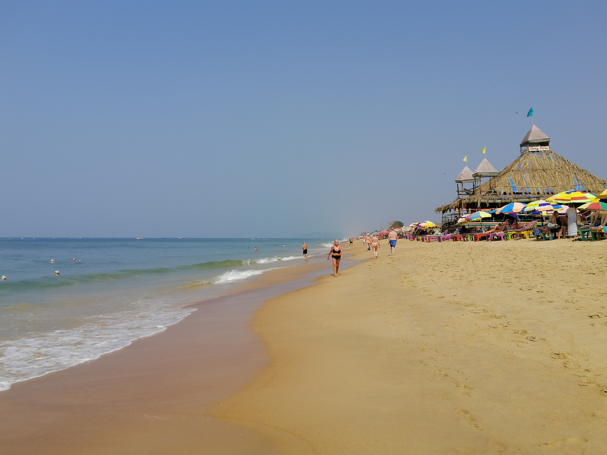 Пляж Кандолим 1.02.2026