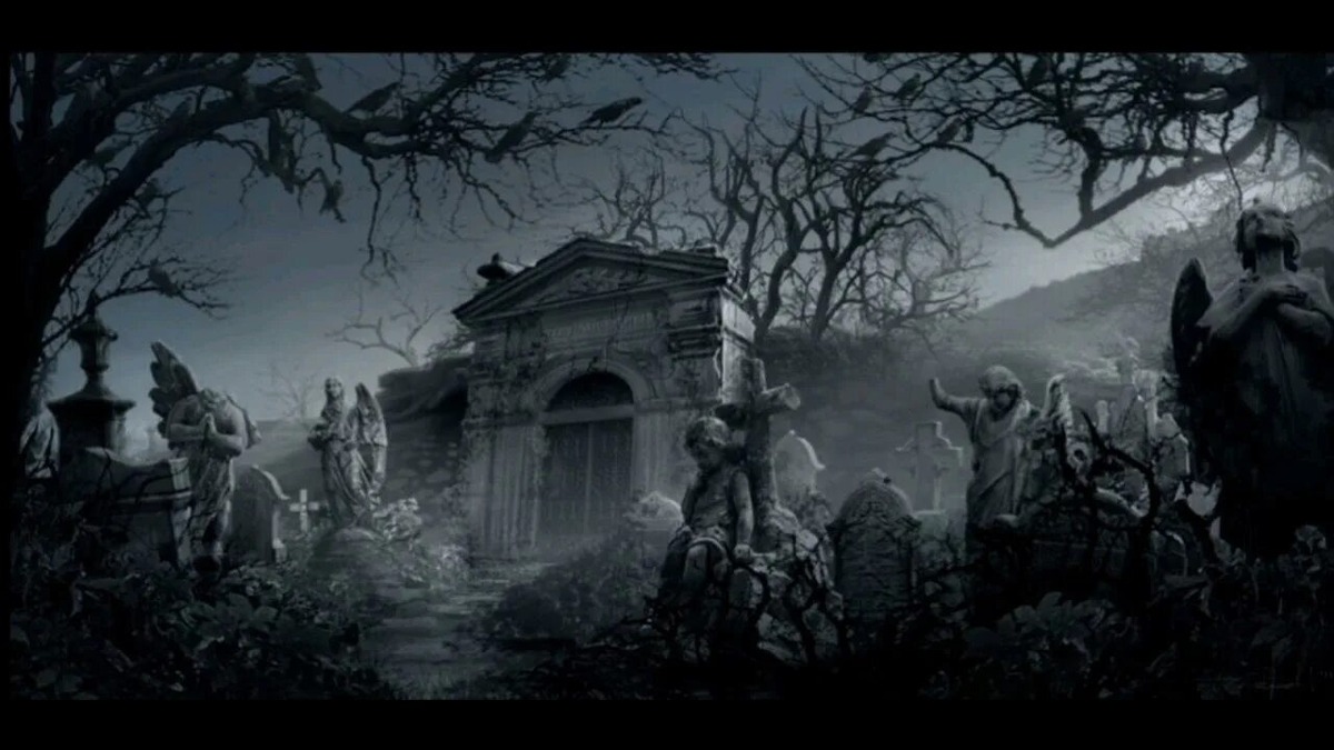 Фото взято из открытого доступа.