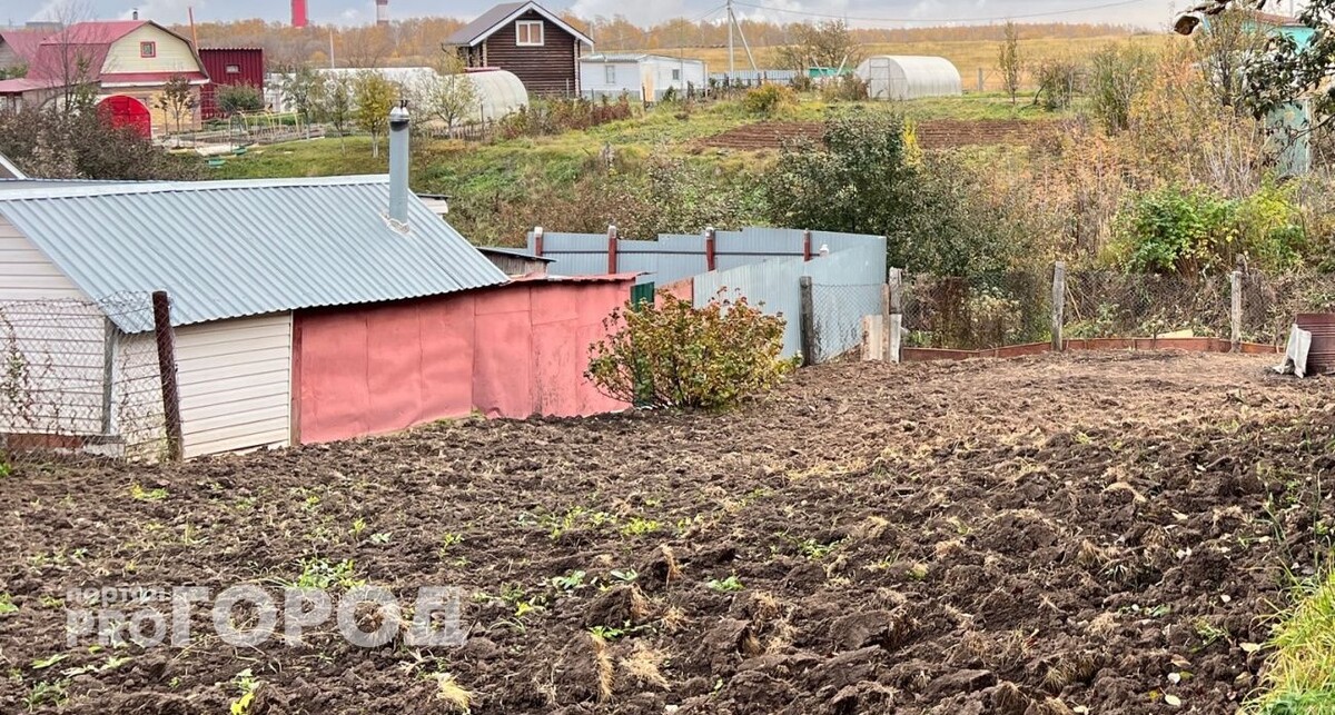    Из архива "Про Город"