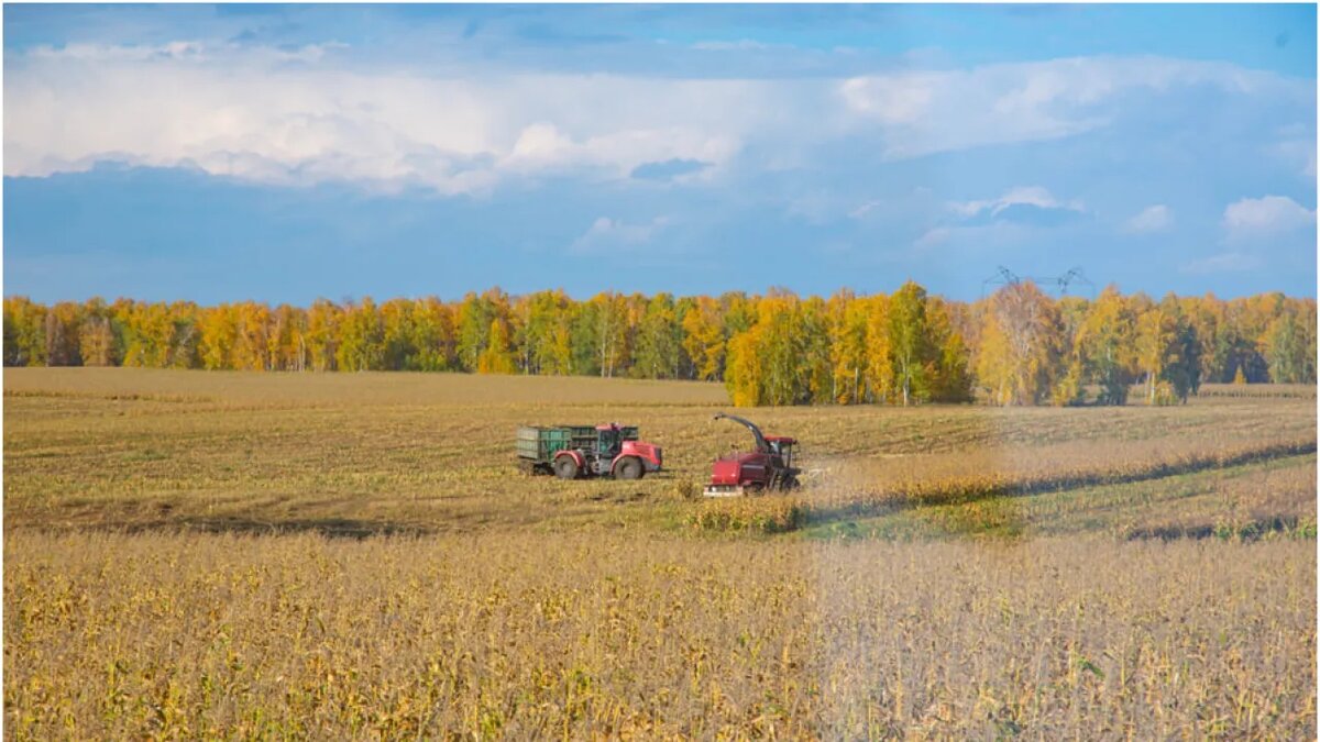 Фото: Андрей Ревнивцев