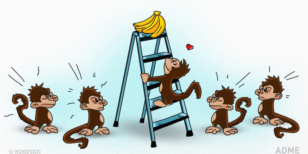 Этот любопытный эксперимент показывает, как работает общество