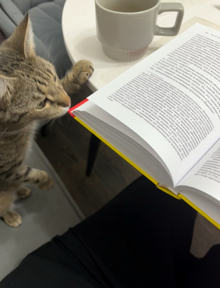 Кошенька: «задолбала читать по ночам, приходится сидеть и контролировать»