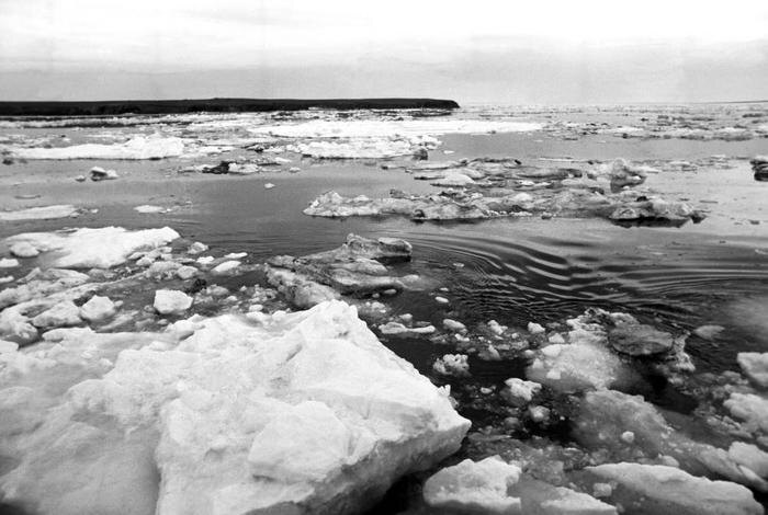 Вайгачская экспедиция: как добывали руду в условиях вечной мерзлоты. Остров Вайгач. Фото © ТАСС / Анатолий Поляков