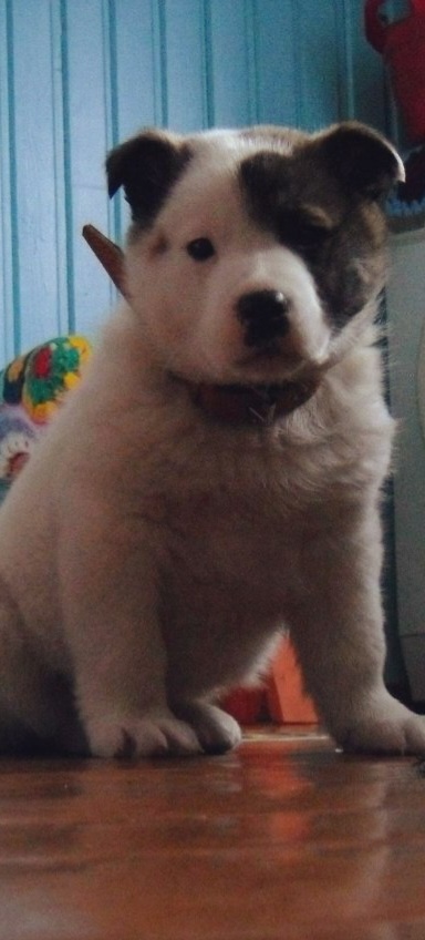 Маленький малыш в 2011 году...