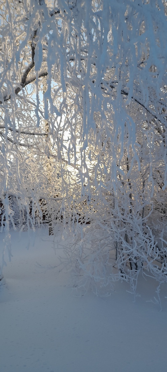 Невероятная морозная красота кругом!