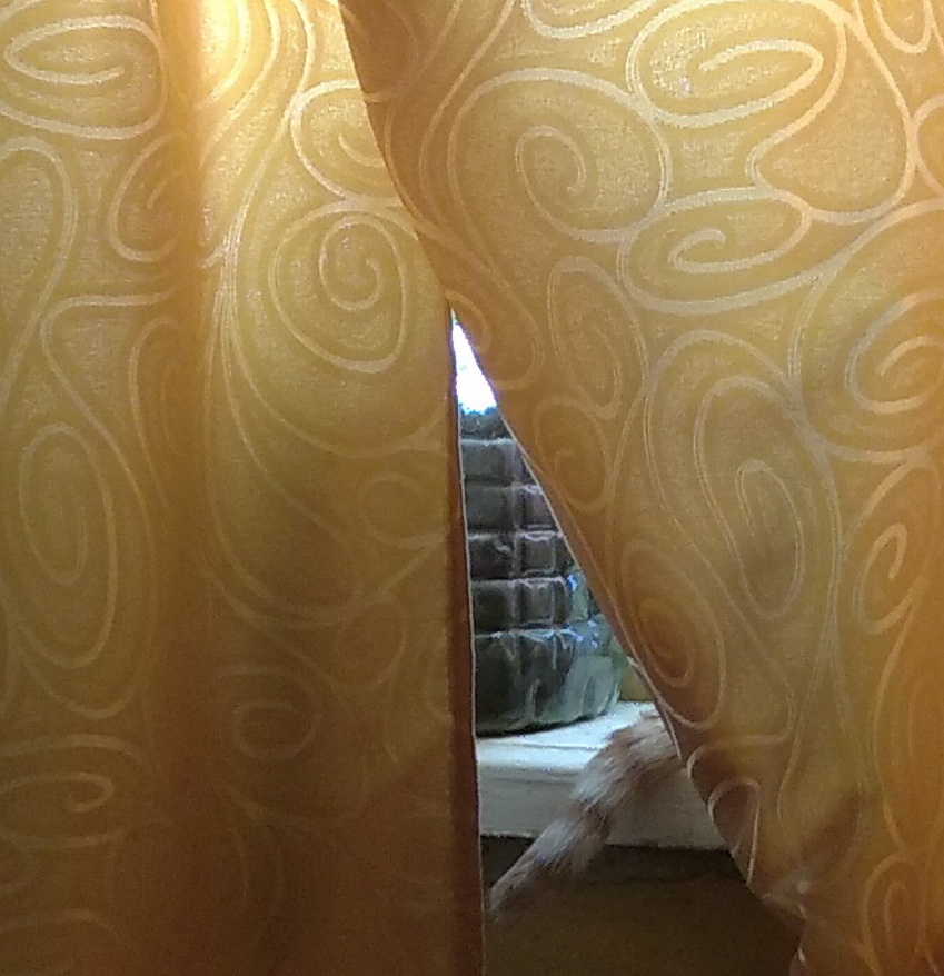 личное  фото