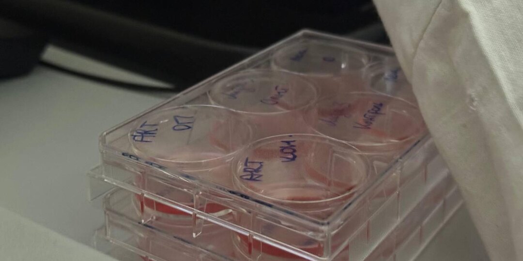 Бессмертная женщина