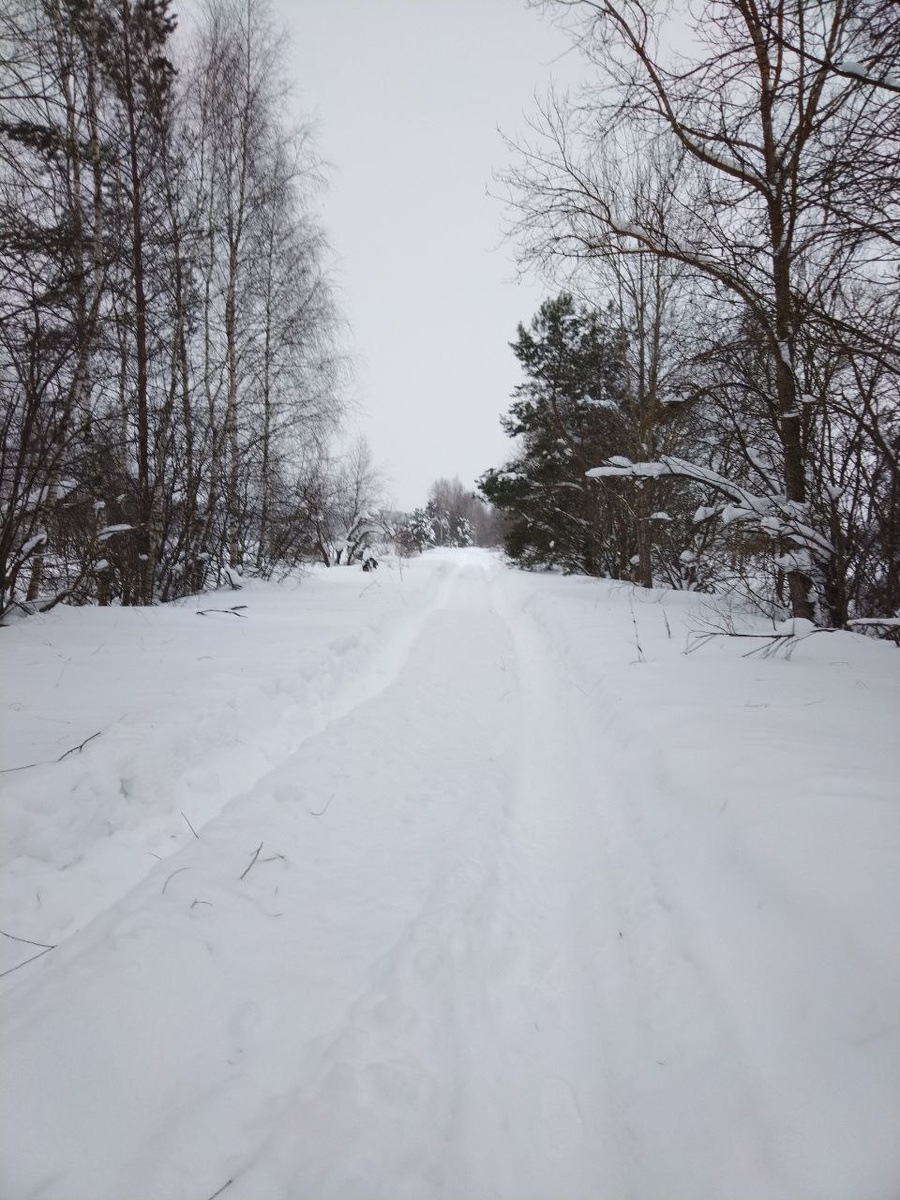 Муромский район