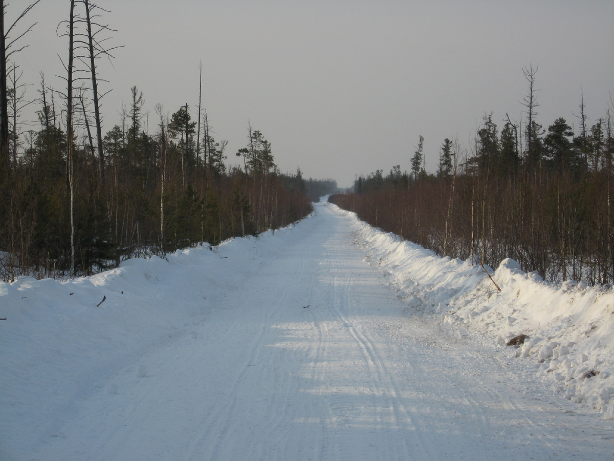 Авторство: Nikola_Sviridov, CC BY-SA 3.0, https://commons.wikimedia.org/w/index.php?curid=53192884