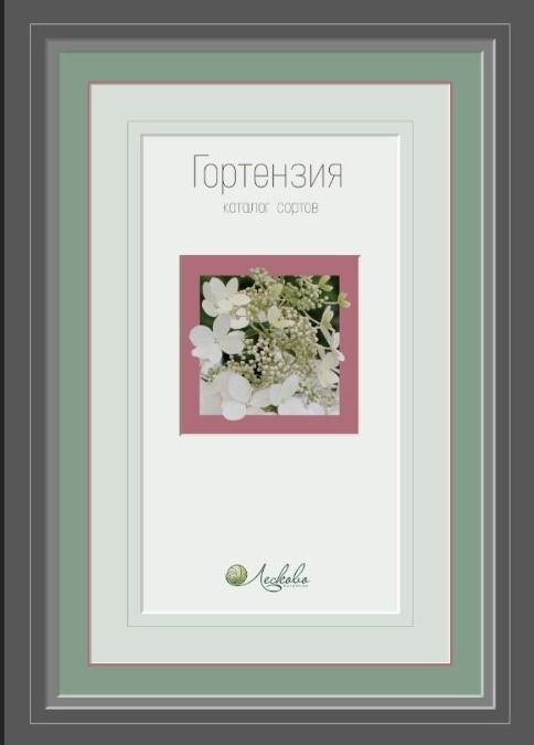 Каталог гортензий.
