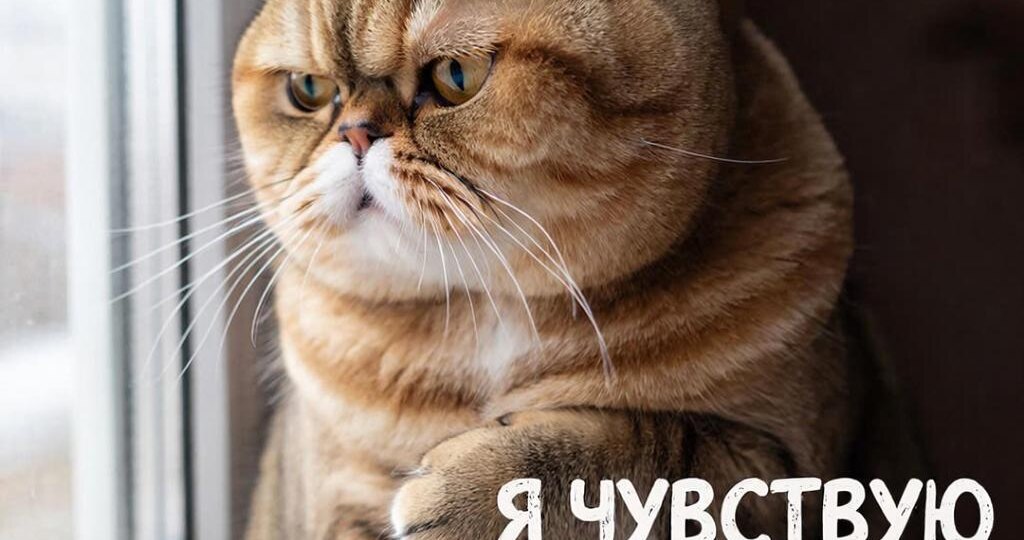 Дымовая завеса: Как я объявил соседу-курильщику холодную войну за право дышать воздухом