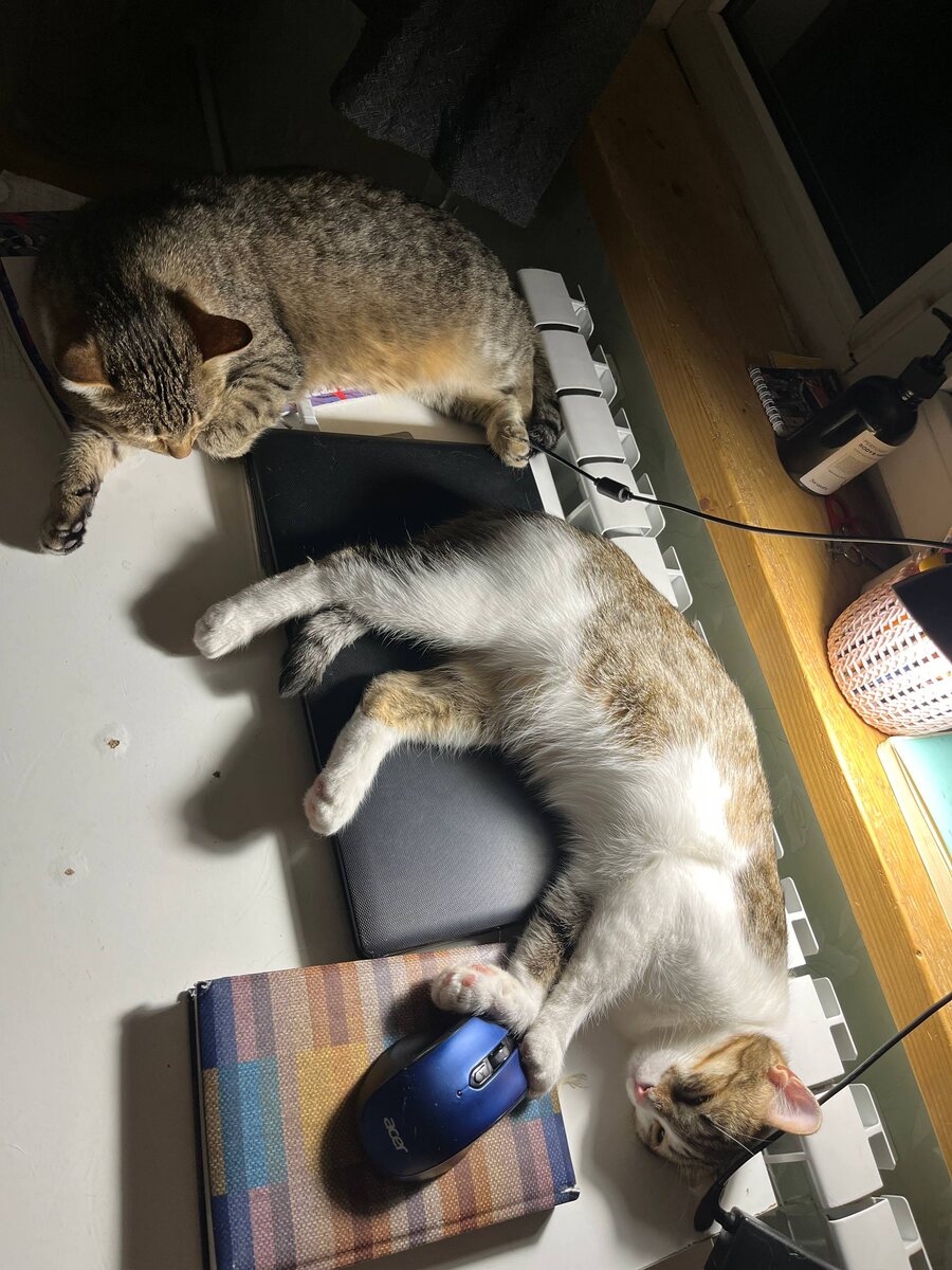 А вот и работнички года ))))