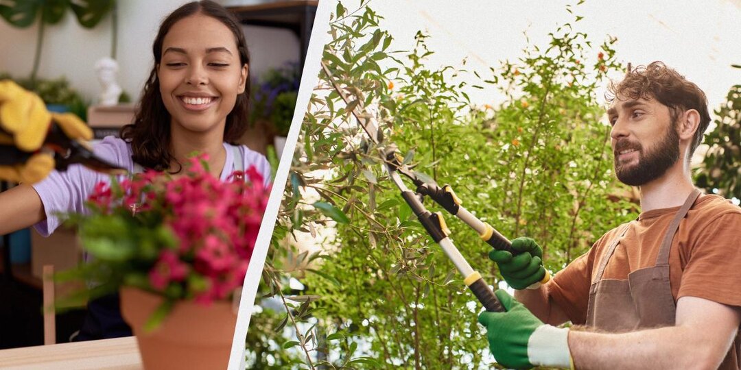 Они могут этого не пережить: какие растения не следует обрезать зимой