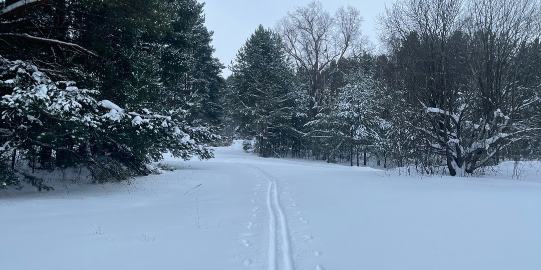 Новый год - новые книги