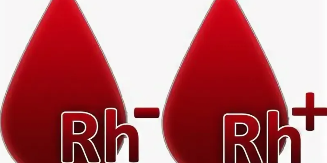 Группы крови и резус-фактор