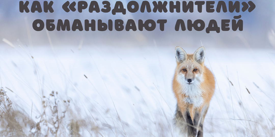 Почему не стоит пользоваться услугами «раздолжнителей»