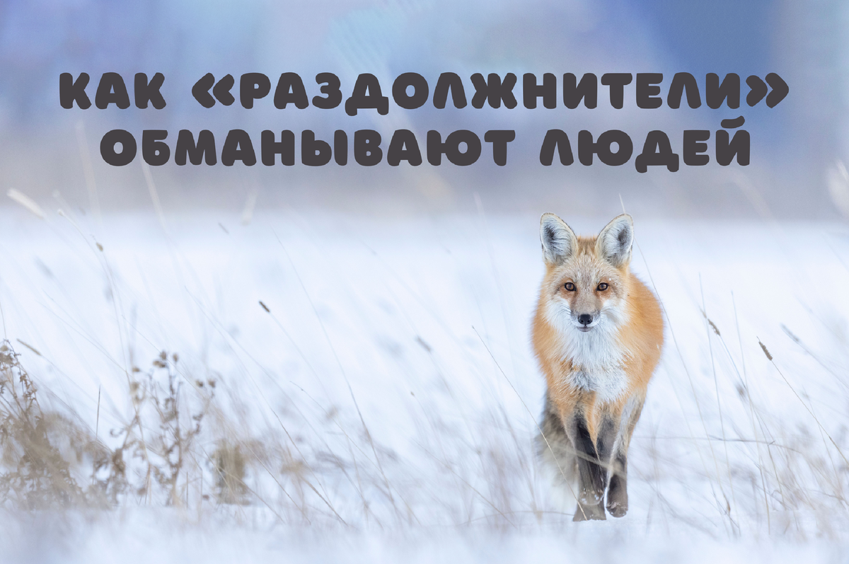 Фото: Shutterstock / Wirestock Creators