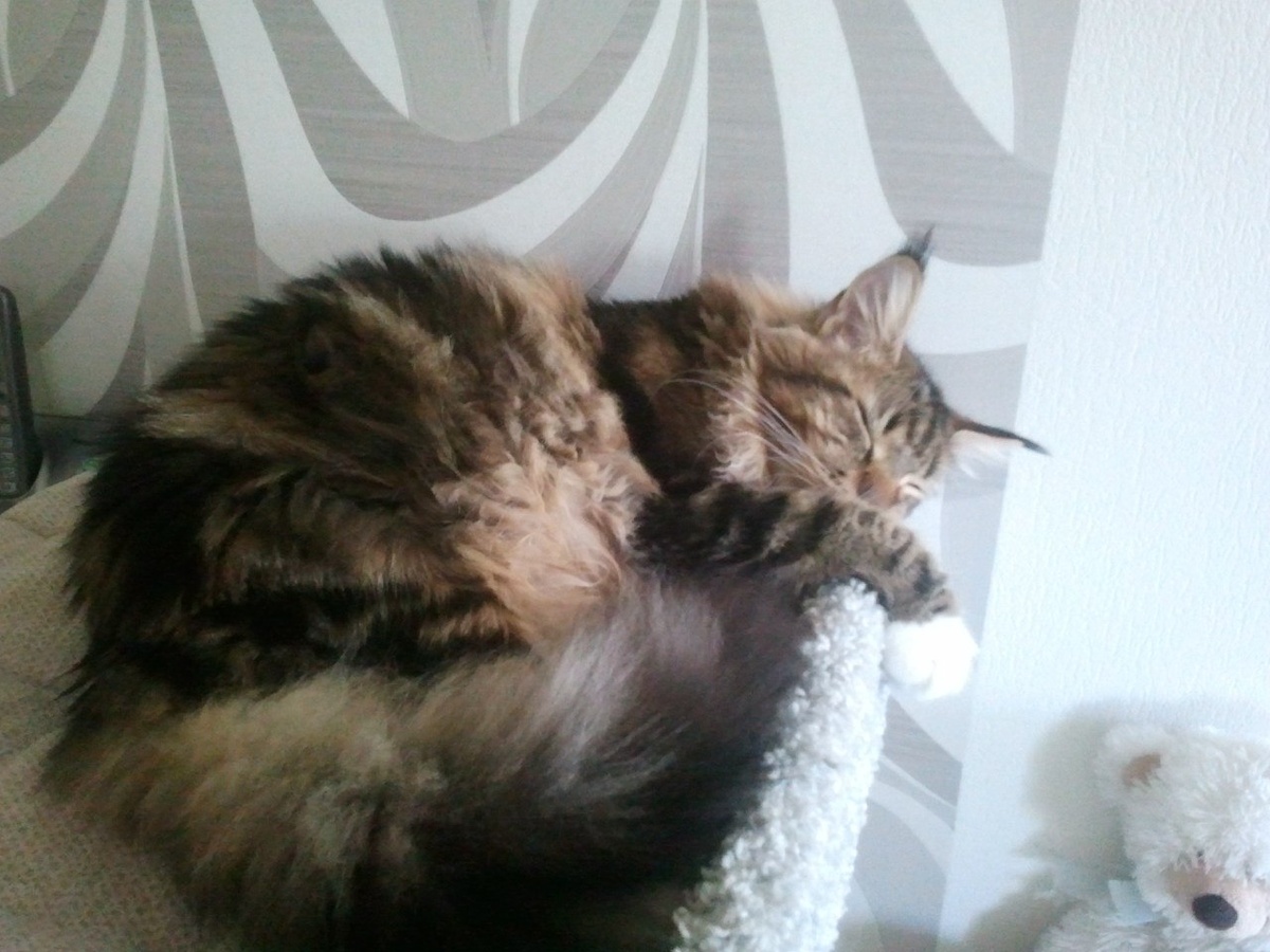 Личное фото