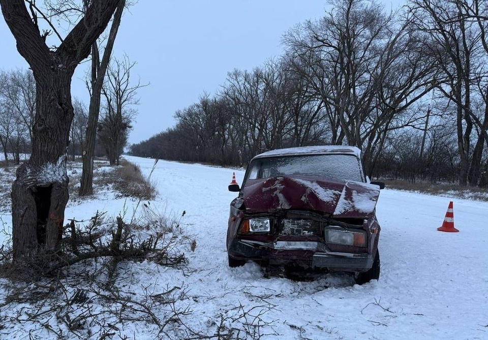    Водитель «ВАЗ 2107» не справился с управлением и врезался в дерево.