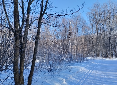Фотография из личного архива автора
