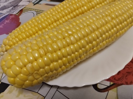 Фотография из личного архива автора