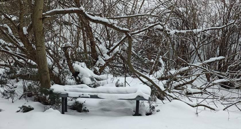    Первый городской канал Калининград