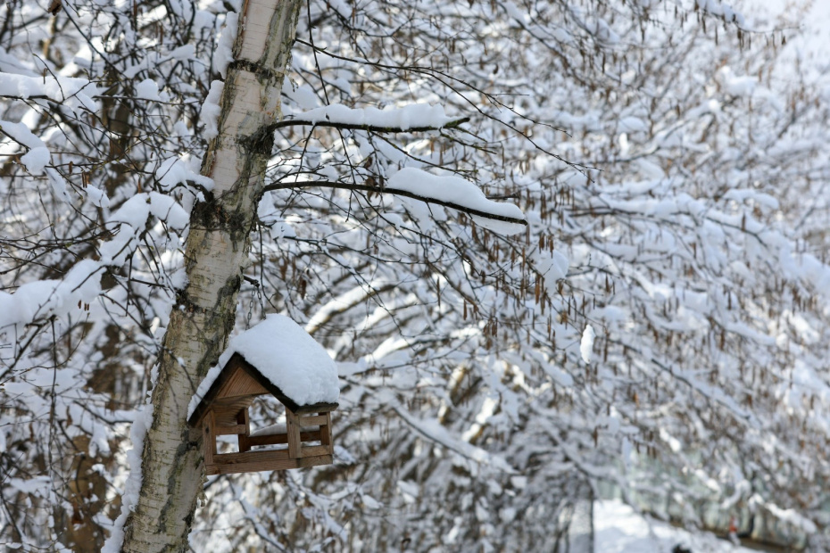    Наталья Шатохина/NEWS.ru