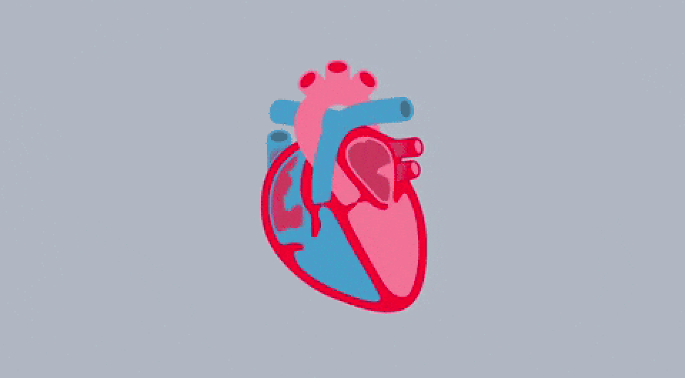   British Heart Foundation / Youtube