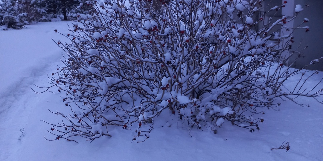 02.02.2026. Стоит один раз отдохнуть, как работа снова меня находит.