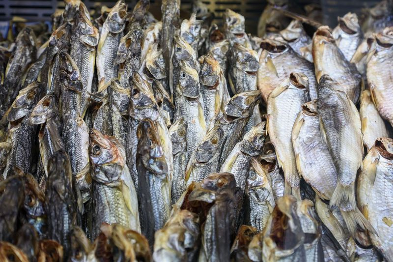    Наталья Шатохина/NEWS.ru