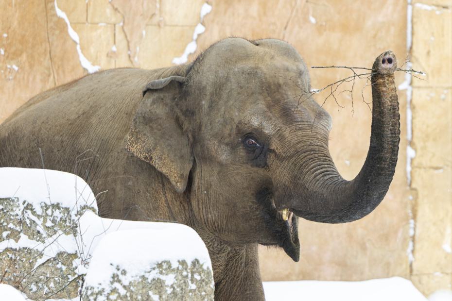    Michael Matthey/dpa/Global Look Press