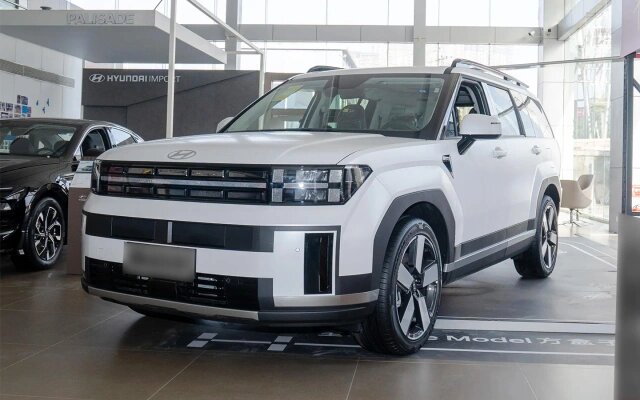 Hyundai Santa Fe (Фото: DongChedi)