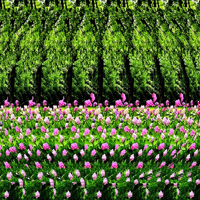 Стереограмма 