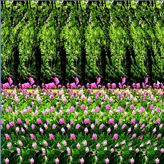 Стереограмма