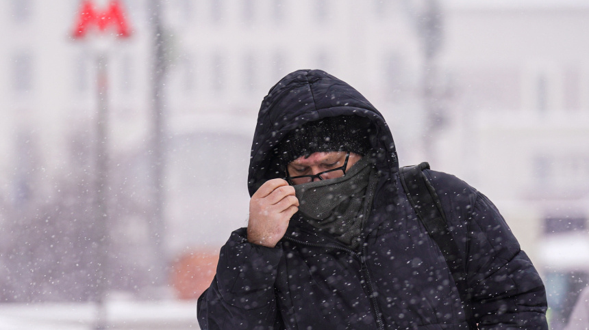    Фото: ИЗВЕСТИЯ/Анна Селина; 5-tv.ru