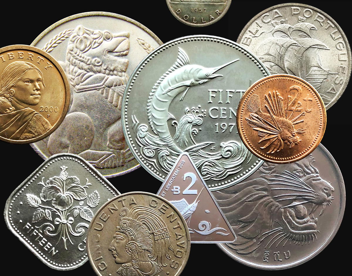 Восемнадцать тысяч монет ждут, чтобы вы на них полюбовались! Фото авторов. 