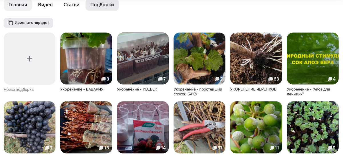 Часть подборок на канале "ВИНОГРАД ЦЕНТР" 