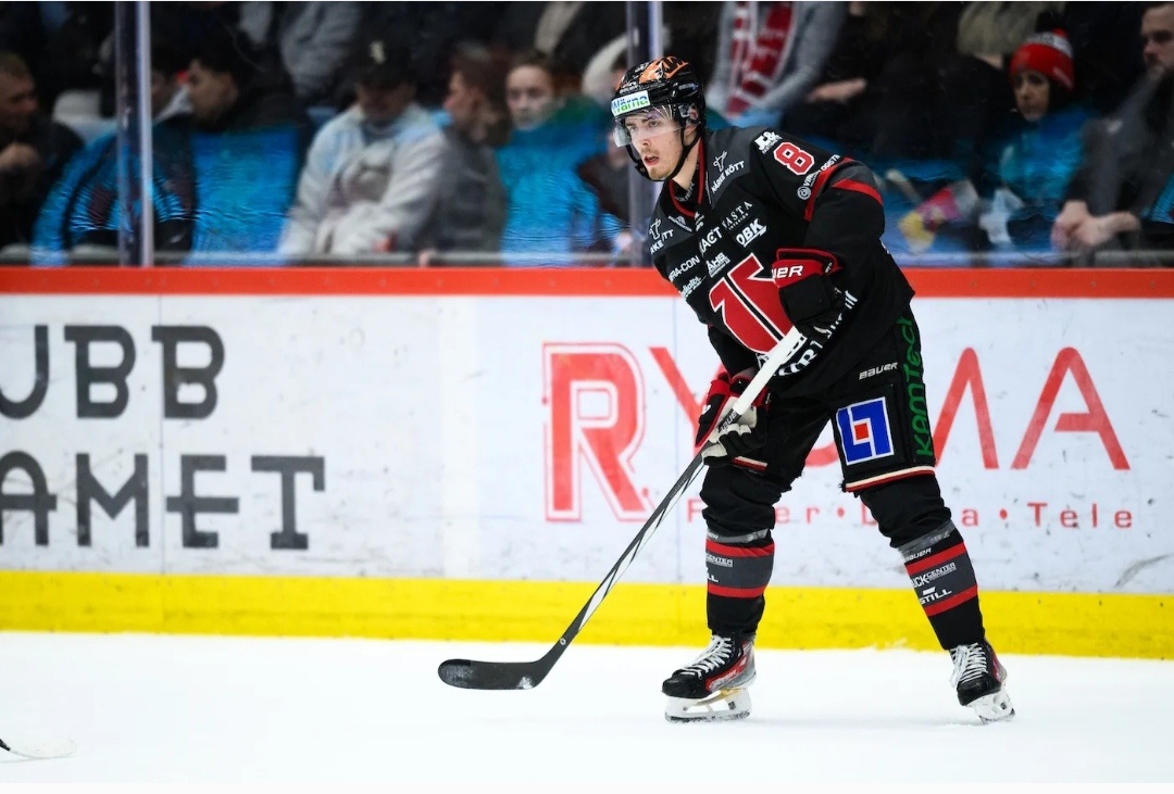 (фото: hockeysverige.se) 