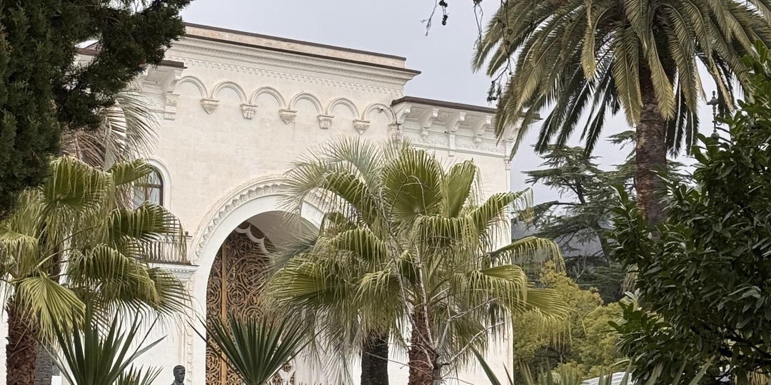 На лайте сегодня. #Абхазия #Сухум