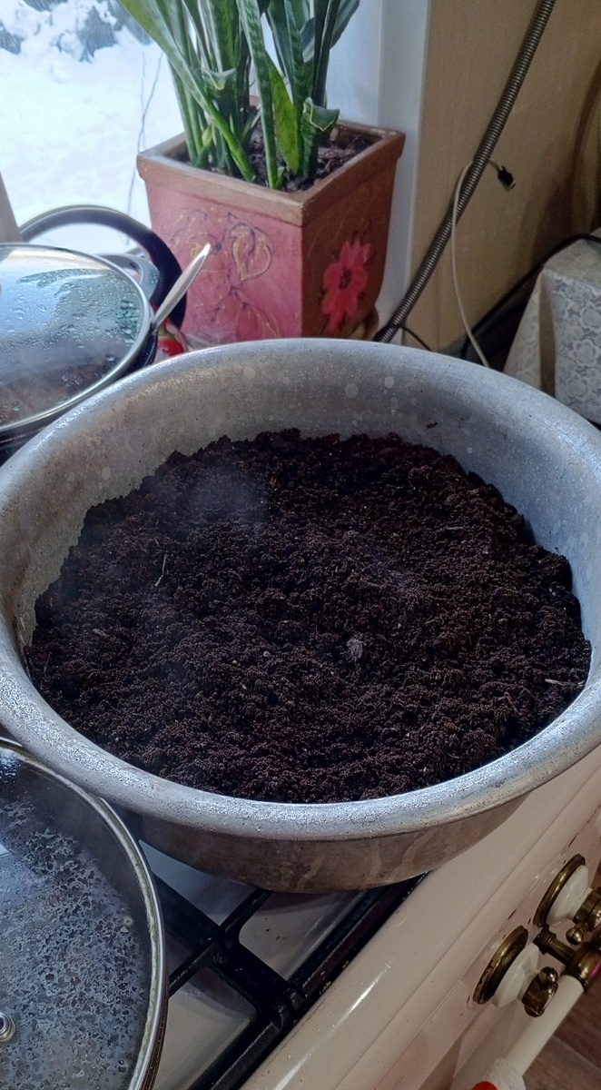 Грунт пропариваю и покупной и тем более огородный