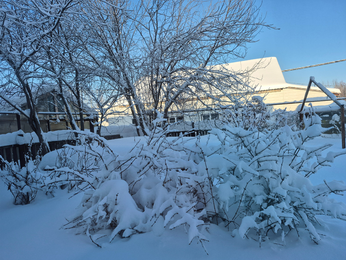 Вид из окна нашей спальни