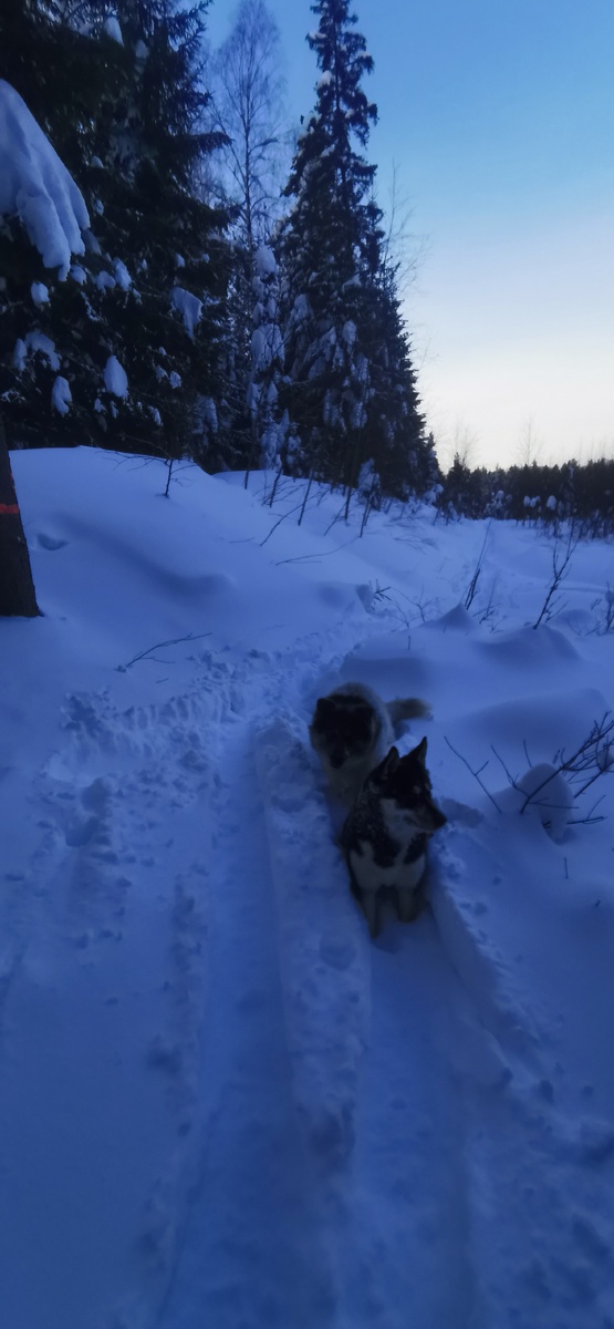 Мой отряд. Идет следом за мной.