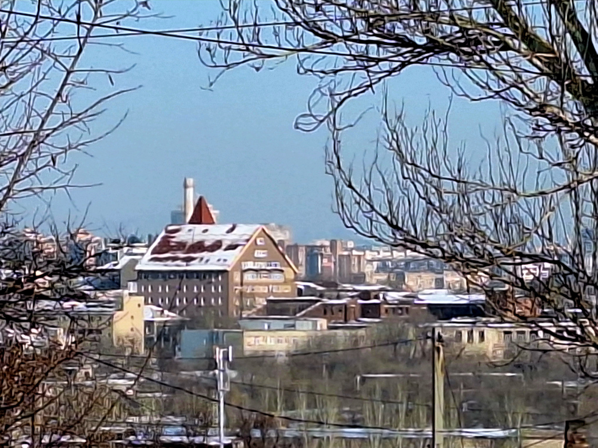 Фото автора.