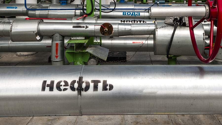    Фото: ИЗВЕСТИЯ/Константин Кокошкин