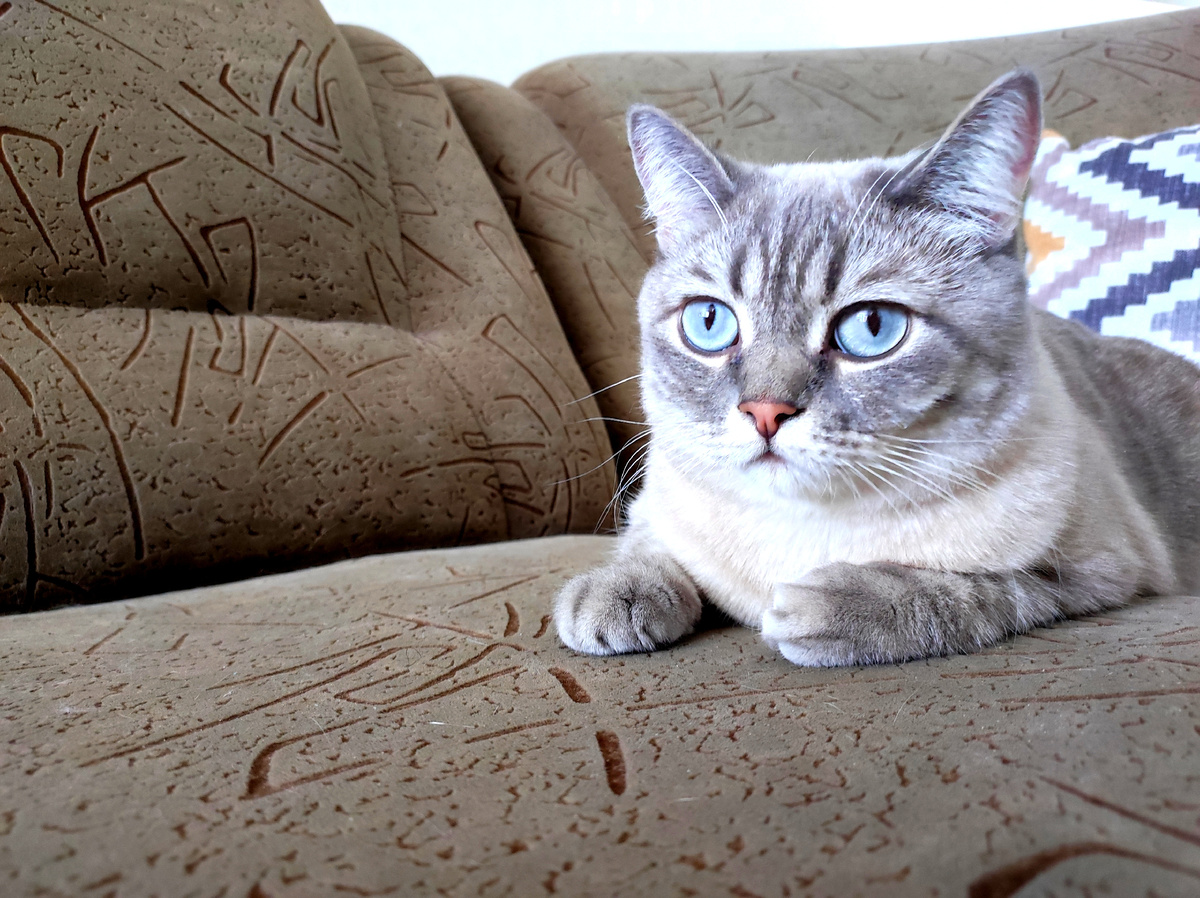 Моя Сонюшка 😻