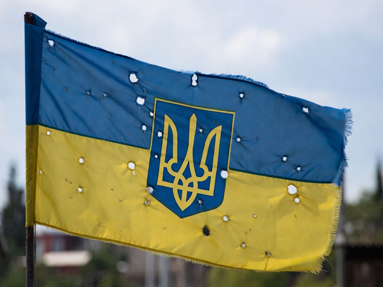     Фото: генерация Grok