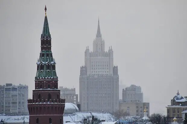    Фото: lenta.ru Полина Котова