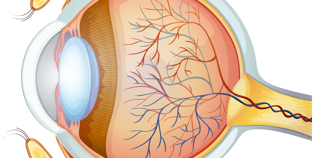 Проблемы с глазами при диабете: как защитить зрение и предотвратить слепоту