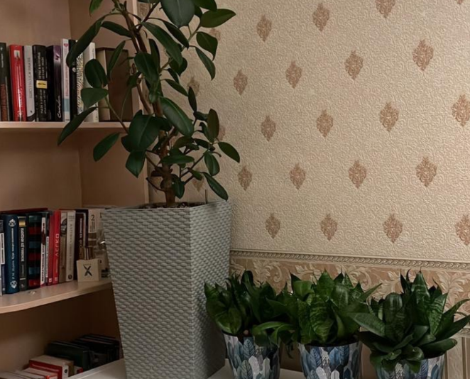 фото из личного архива